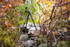 Gimbal on Versa AF Canyon