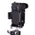 On tripod back with hex key showing