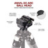 Benchmark™ + Anvil-30 ARC Bundle