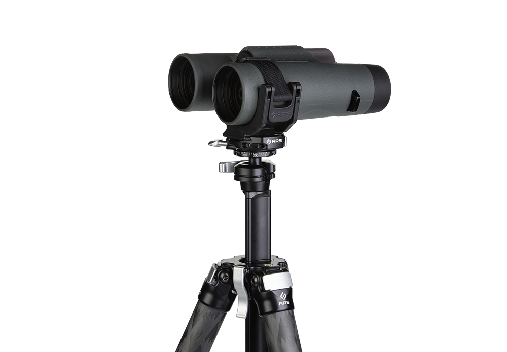 Cinch LR on Ascend Tripod