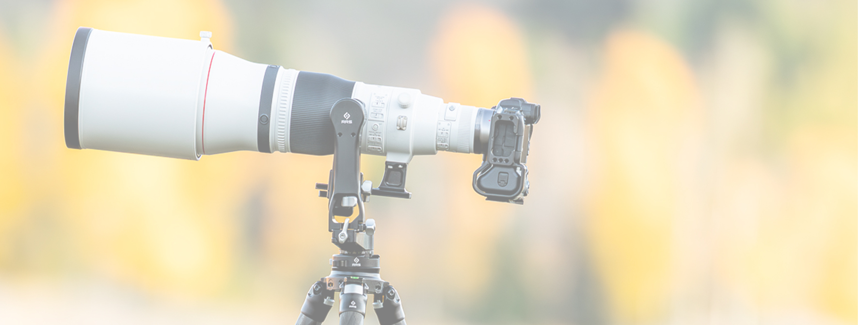 Camera and Lens plate Product Banner