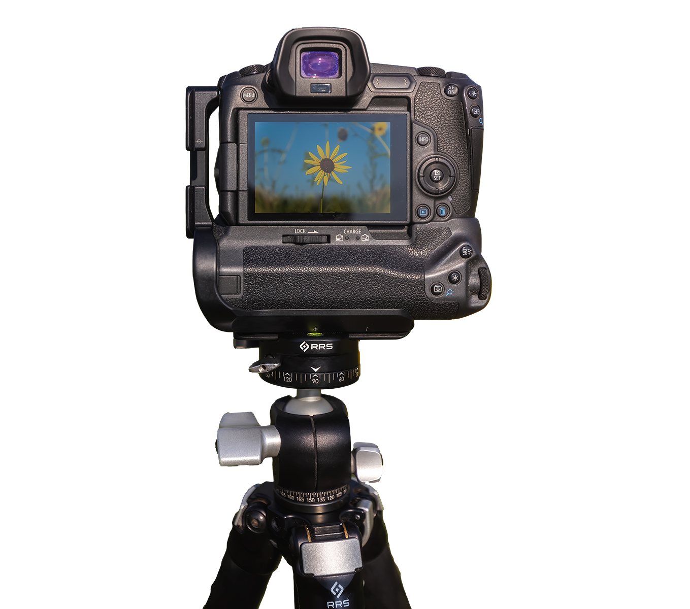 BH-30 with panning clamp setup