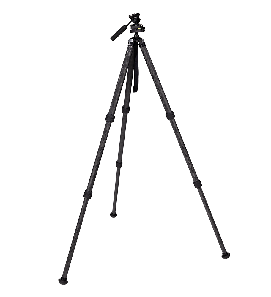 TFCX anvil pt scout full extension