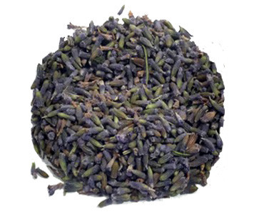 French Lavender Flowers