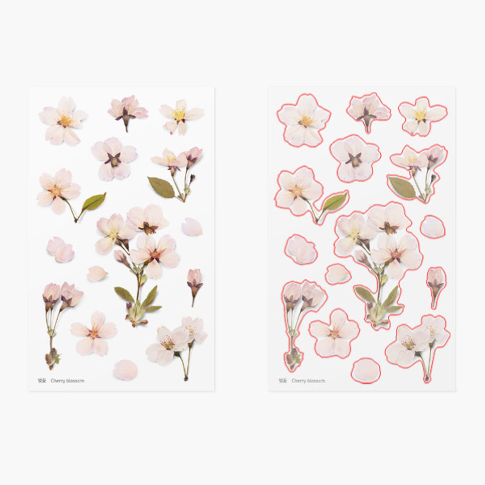 Appree Cherry blossom pressed flower deco sticker
