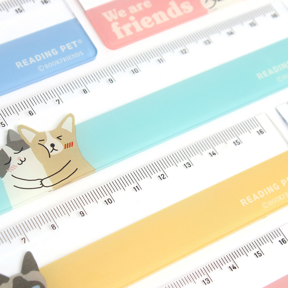 6 Plastic Ruler