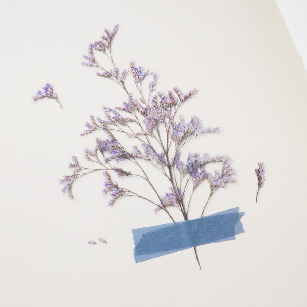 Appree Misty blue pressed flower sticker