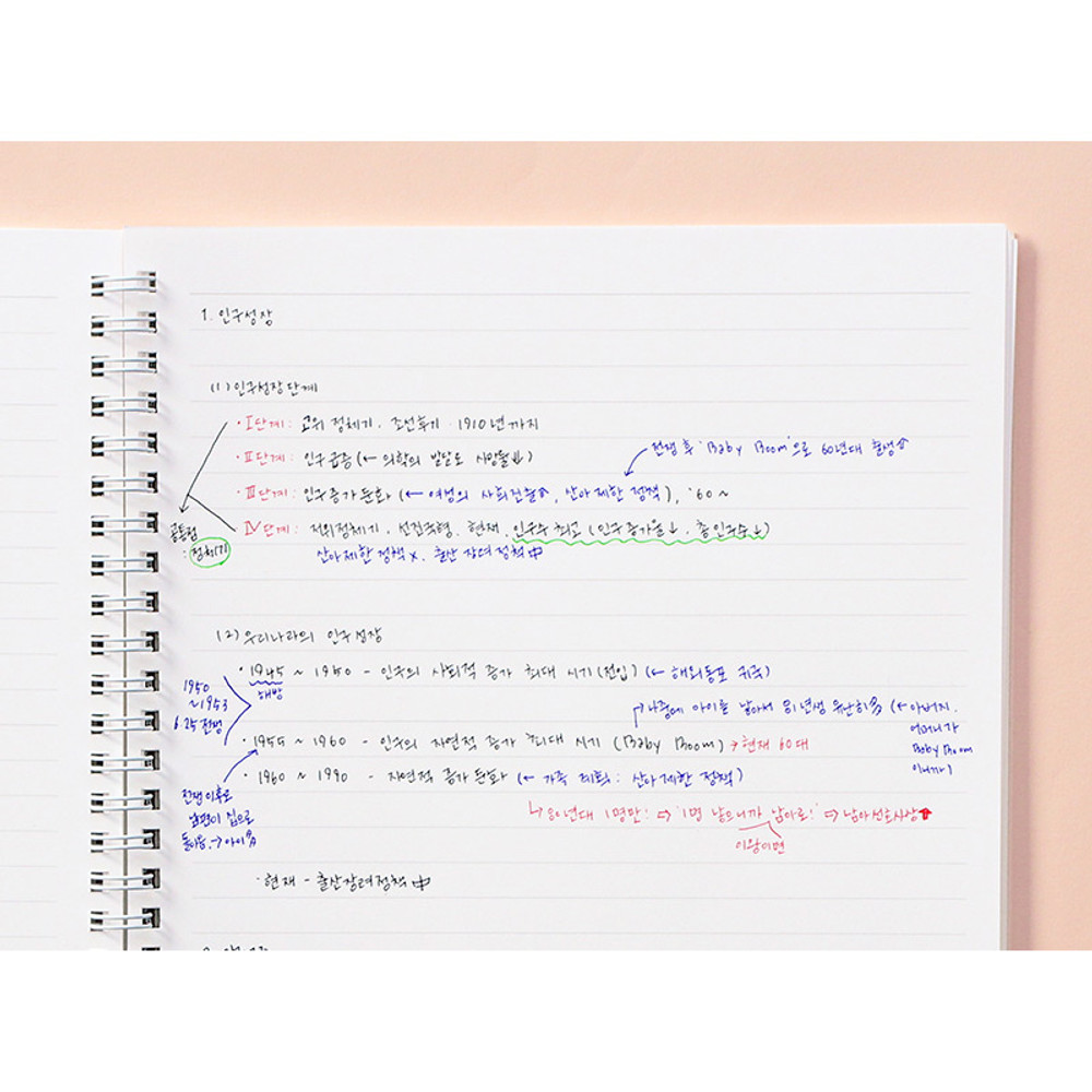 Usage example - Indigo Basic B5 sprial binding lined notebook