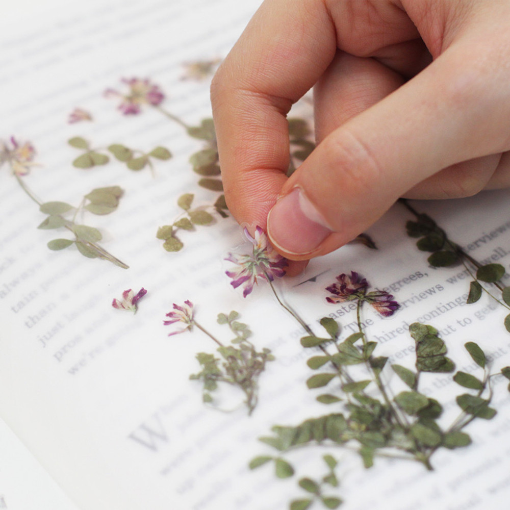 Cosmos Pressed Flower Sticker