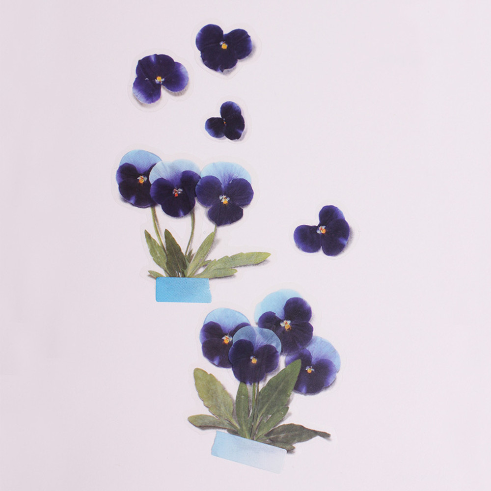 Appree Cosmos Pressed Flower Sticker - Fallindesign
