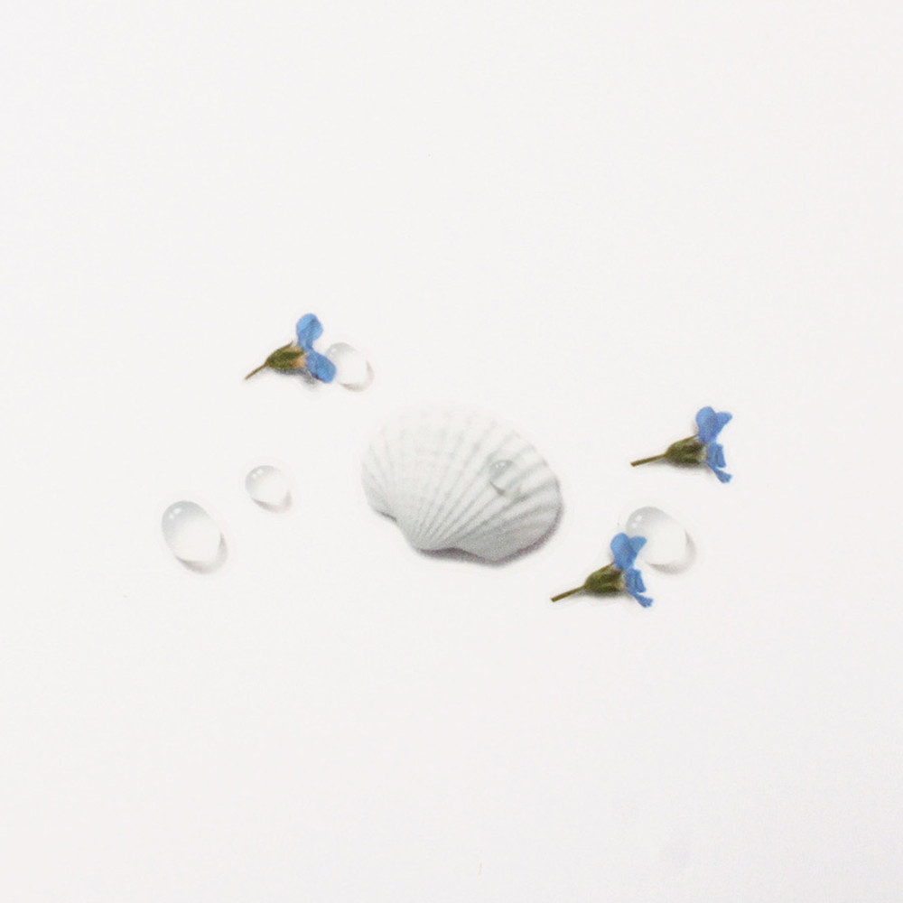 Usage example - Appree Seashell Nature Clear Sticker