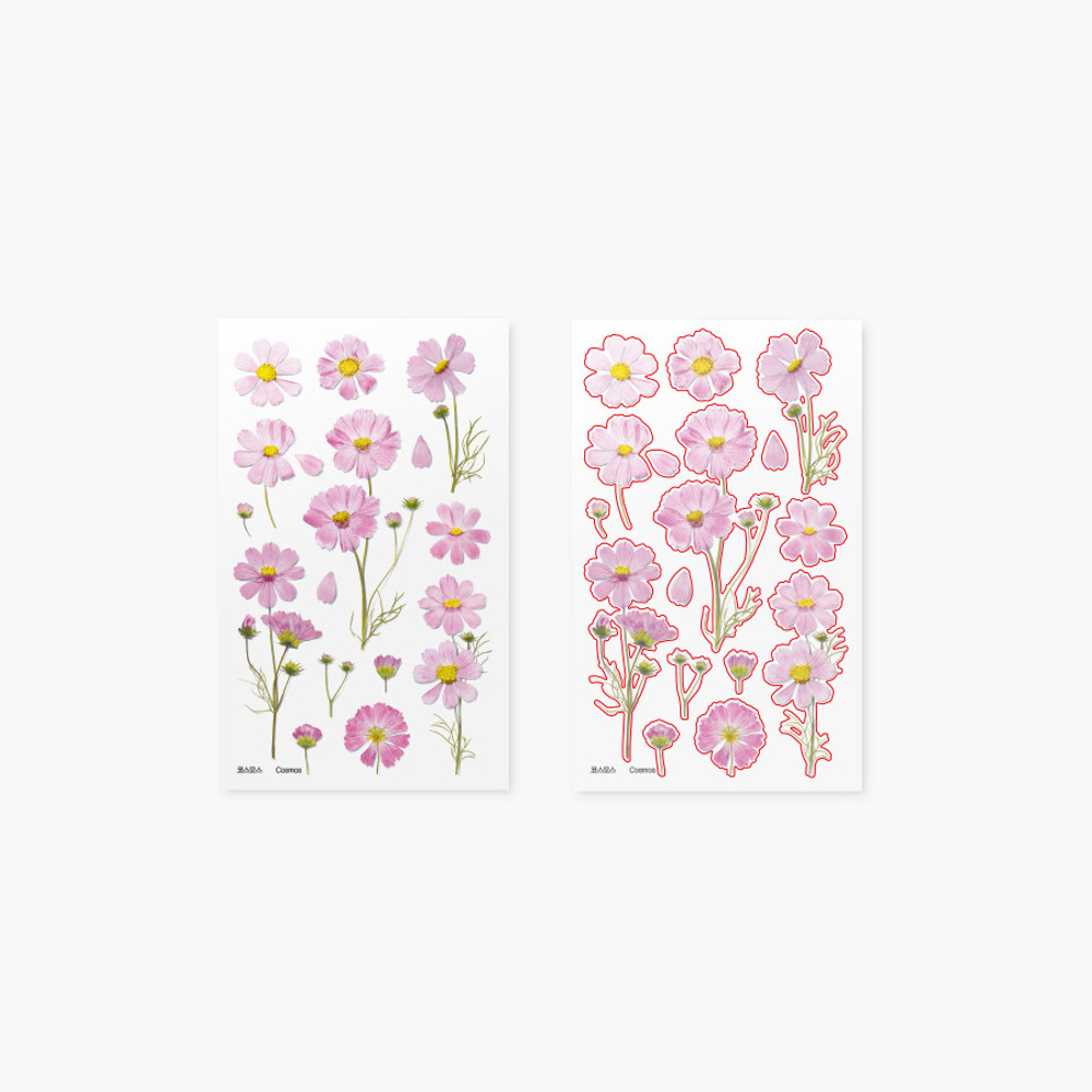 Pressed Flower Transparent Sticker - Cosmos