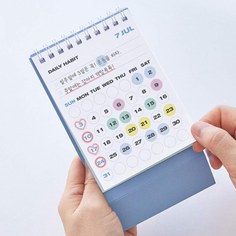 Antenna Shop 2022 Daily Habit Mini Monthly Desk Calendar