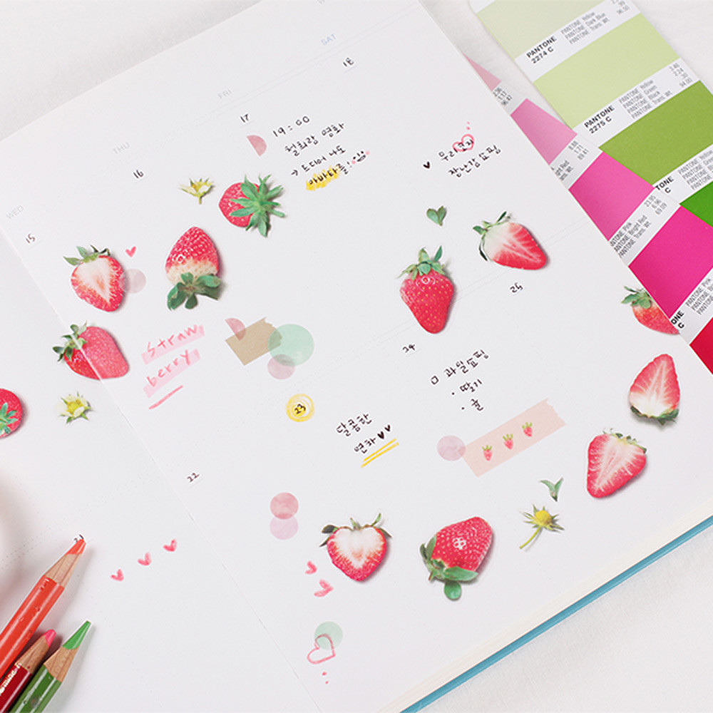 Strawberries Bullet Journal Stickers – Papershire