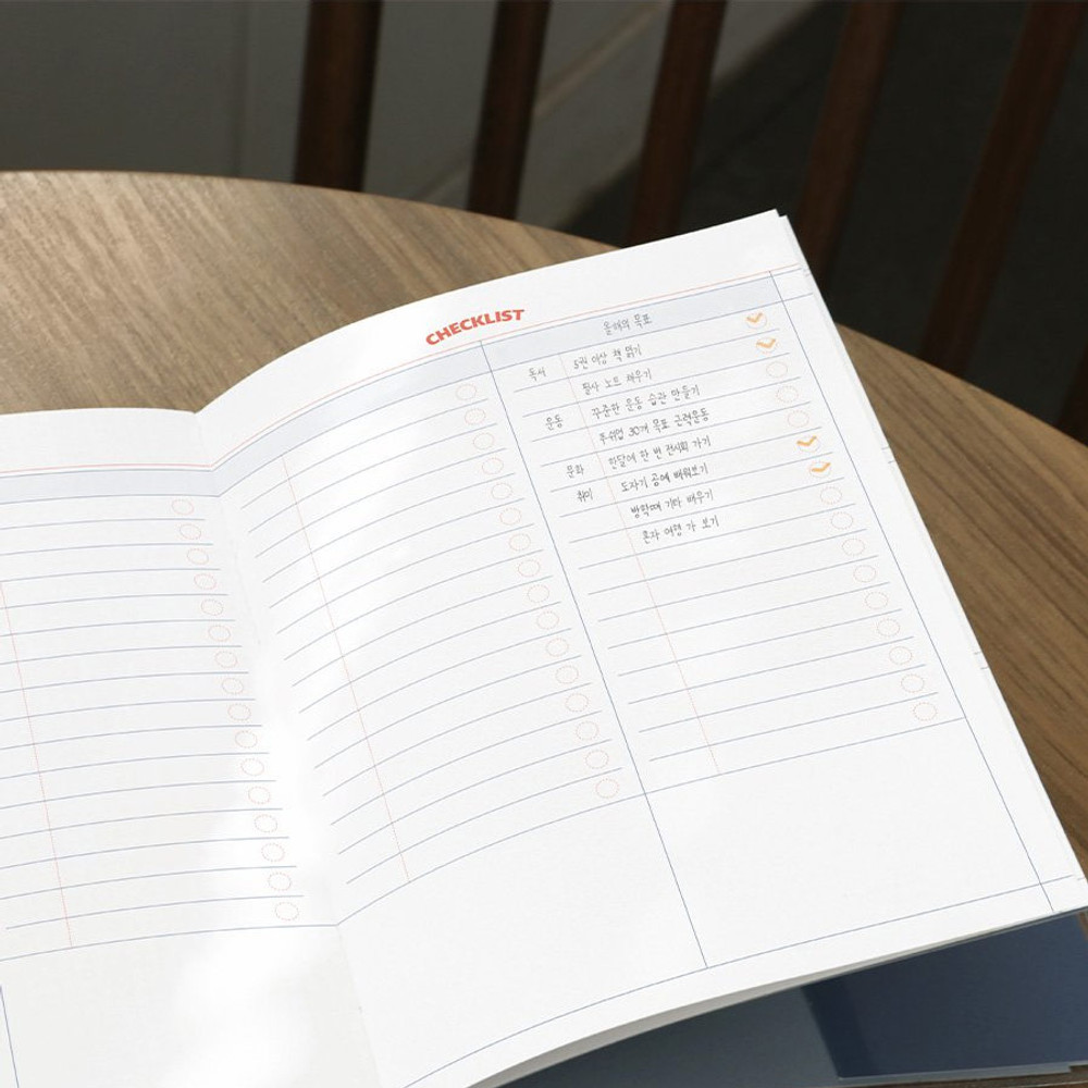 checklist - Iconic 2024 Record On A5 Dated Weekly Diary Planner