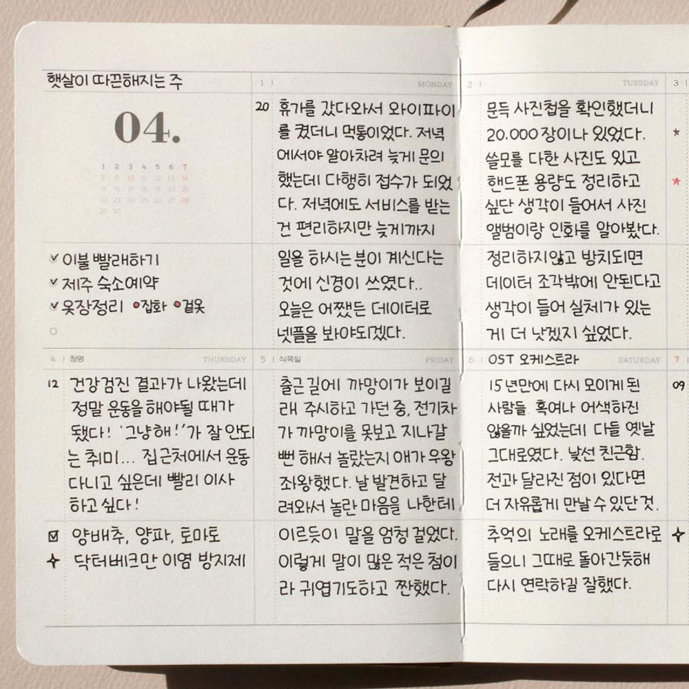 Weekly plan - 2024 Dot Your Day Dated B6 Weekly Planner Diary