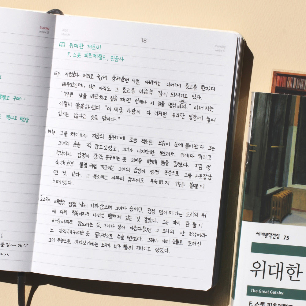 Usage example - 2024 Matte Hardcover Dated Daily Diary Journal