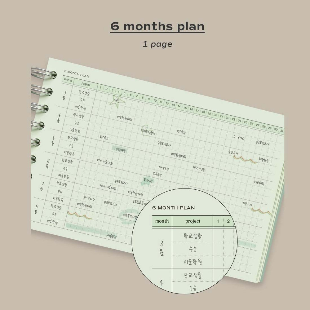 6 Months Plan - Iconic Flow 6 Months Desk Study Planner