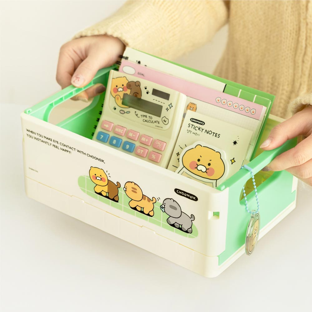Choonsik Small Folding Storage Box: Cute & Functional