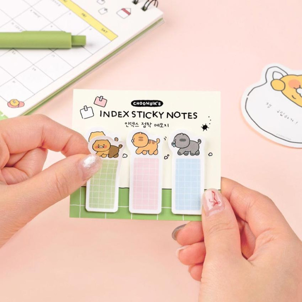Usage example of Kakao Friends Choonsik Index Sticky Notepad
