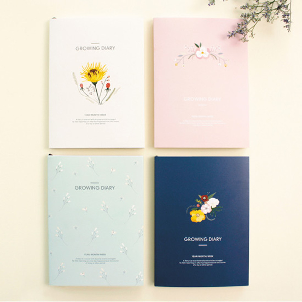 2016 Growing for a dream undated diary
