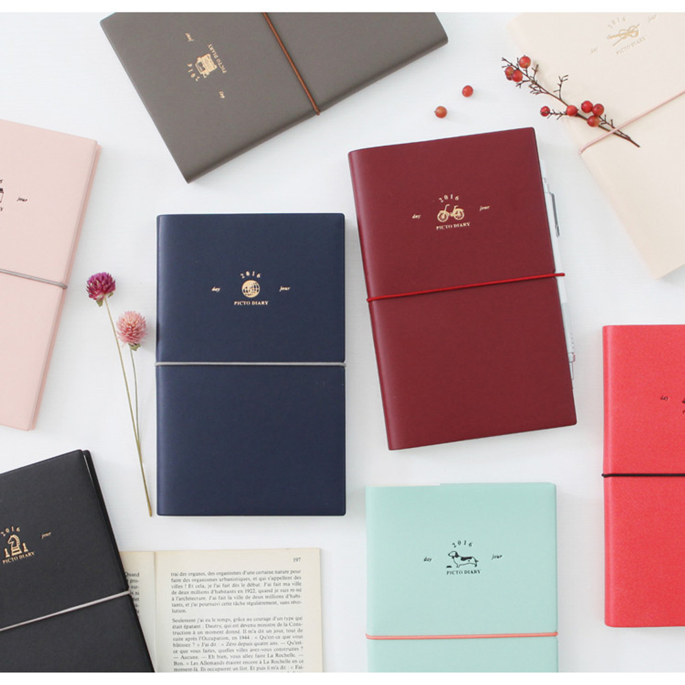 2016 Pictogram life medium dated diary