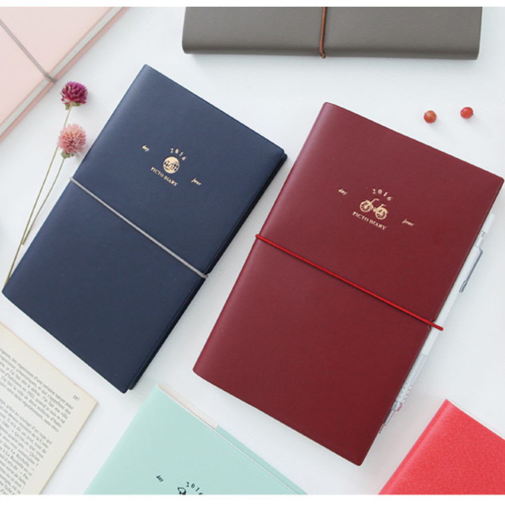 2016 Pictogram life medium dated diary