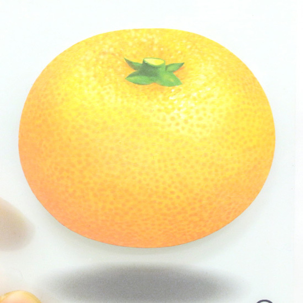 Tangerine sticky memo notes