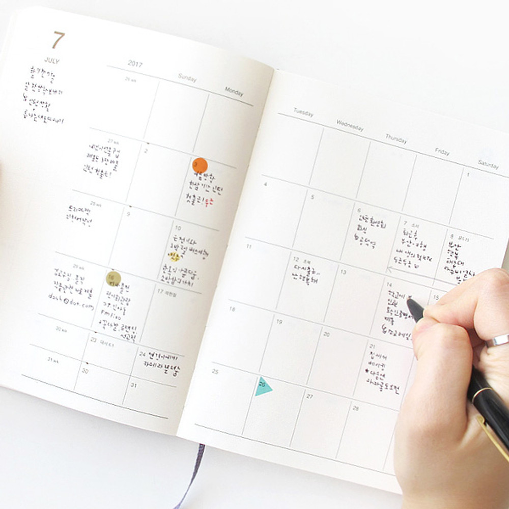 Monthly plan - Record medium weekly dated planner