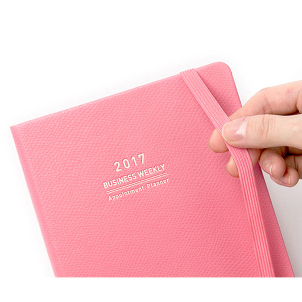 Elastic band - 2017 Appointment A5 dated monthly planner
