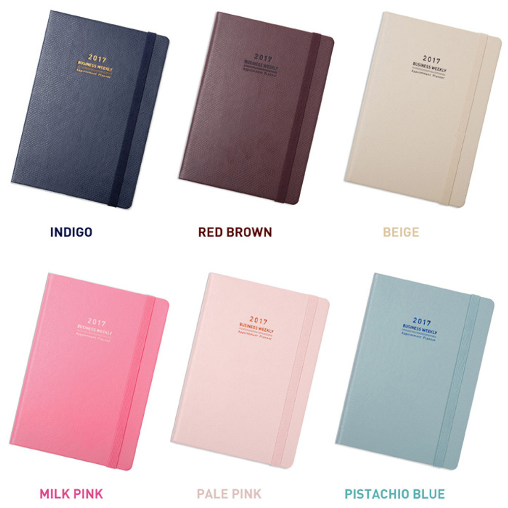Color of 2017 Appointment A5 dated monthly planner