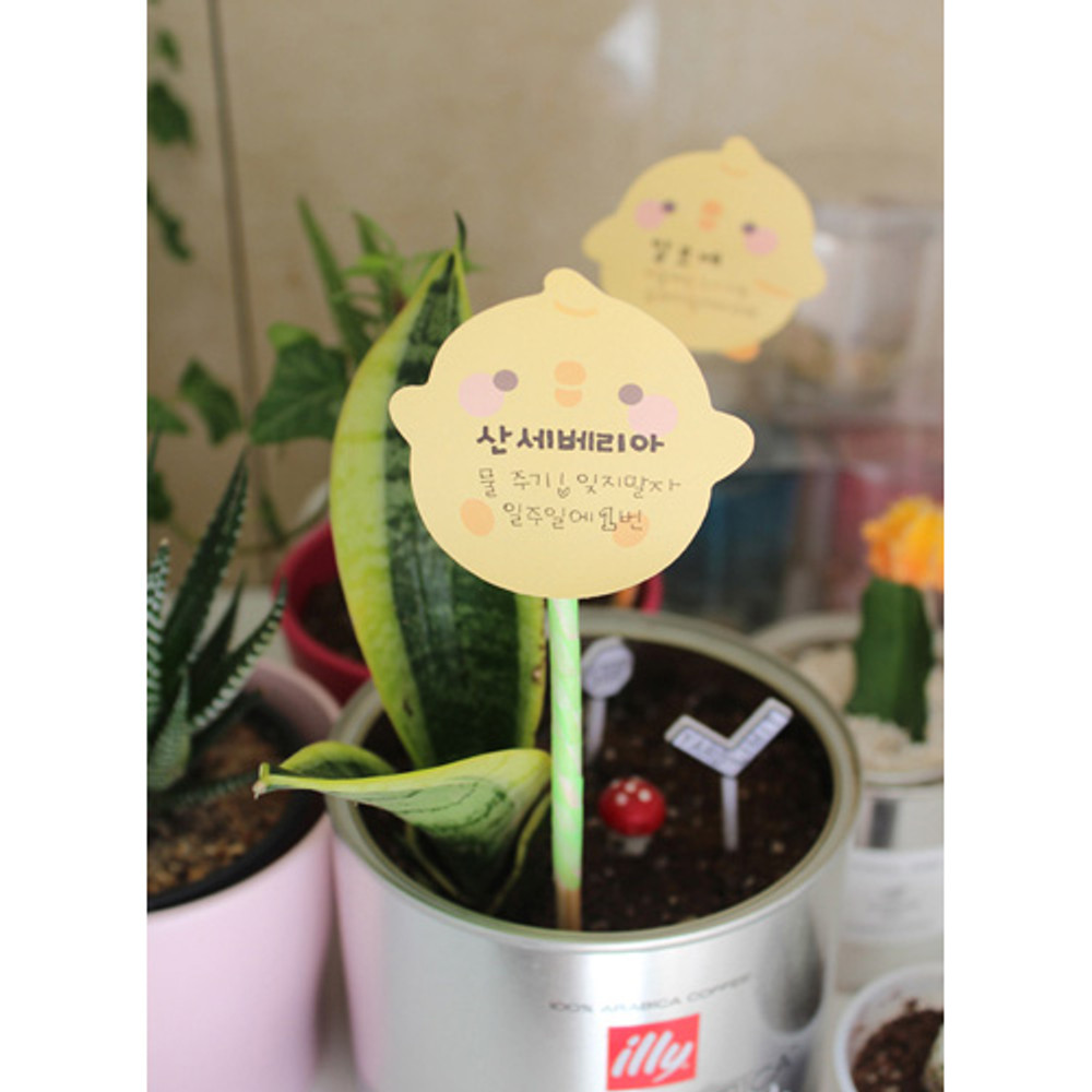 Bookcodi Molang piupiu cute sticky memo note 