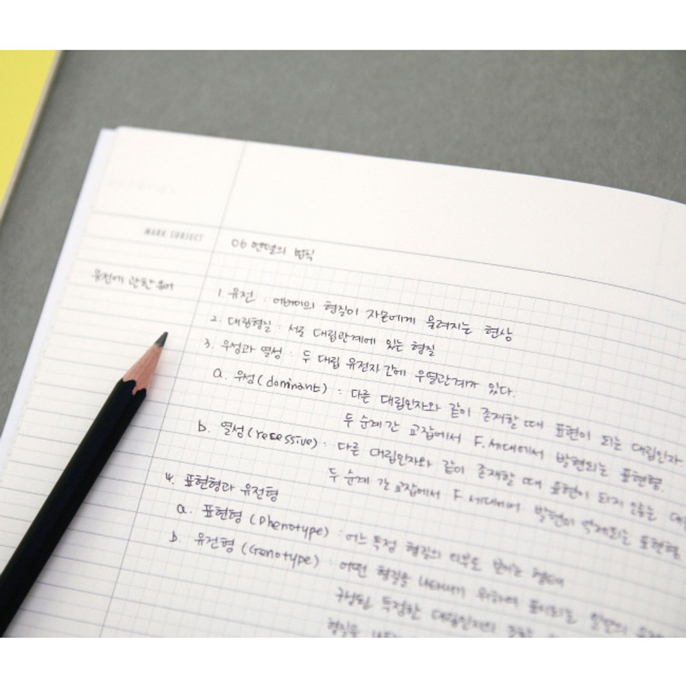 Colorful B5 size grid-lined class notebook