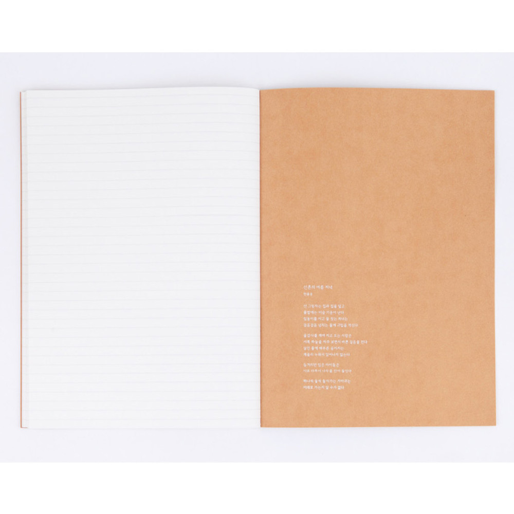 Earth sewn bound B5 lined notebook
