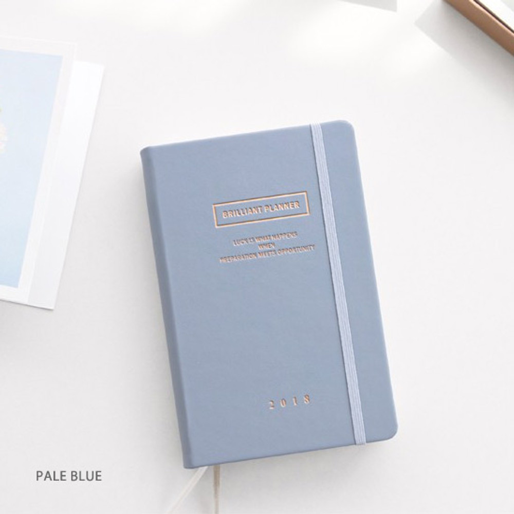 Pale blue - 2018 Brilliant simple dated daily planner