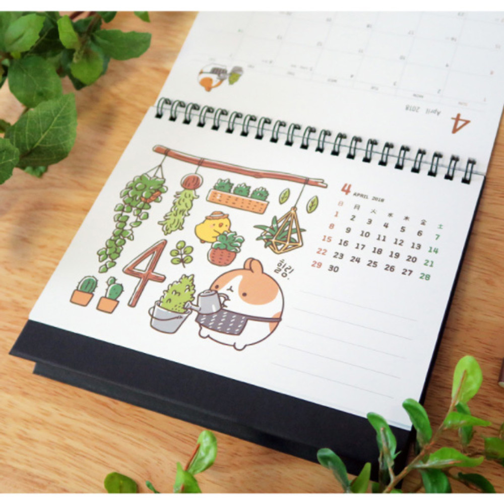 2018 Molang illustration spiral bound medium desk calendar