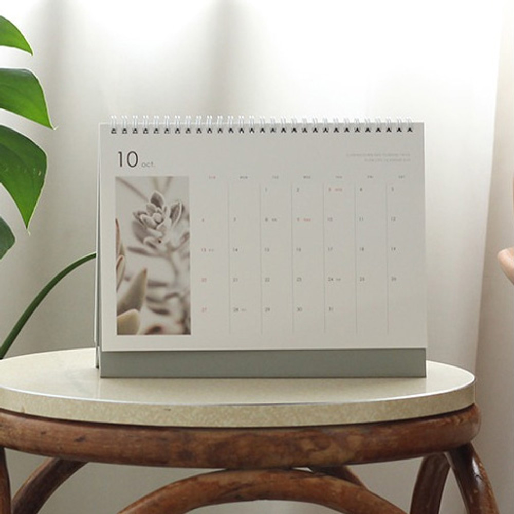 2019 Slow life wirebound desk calendar