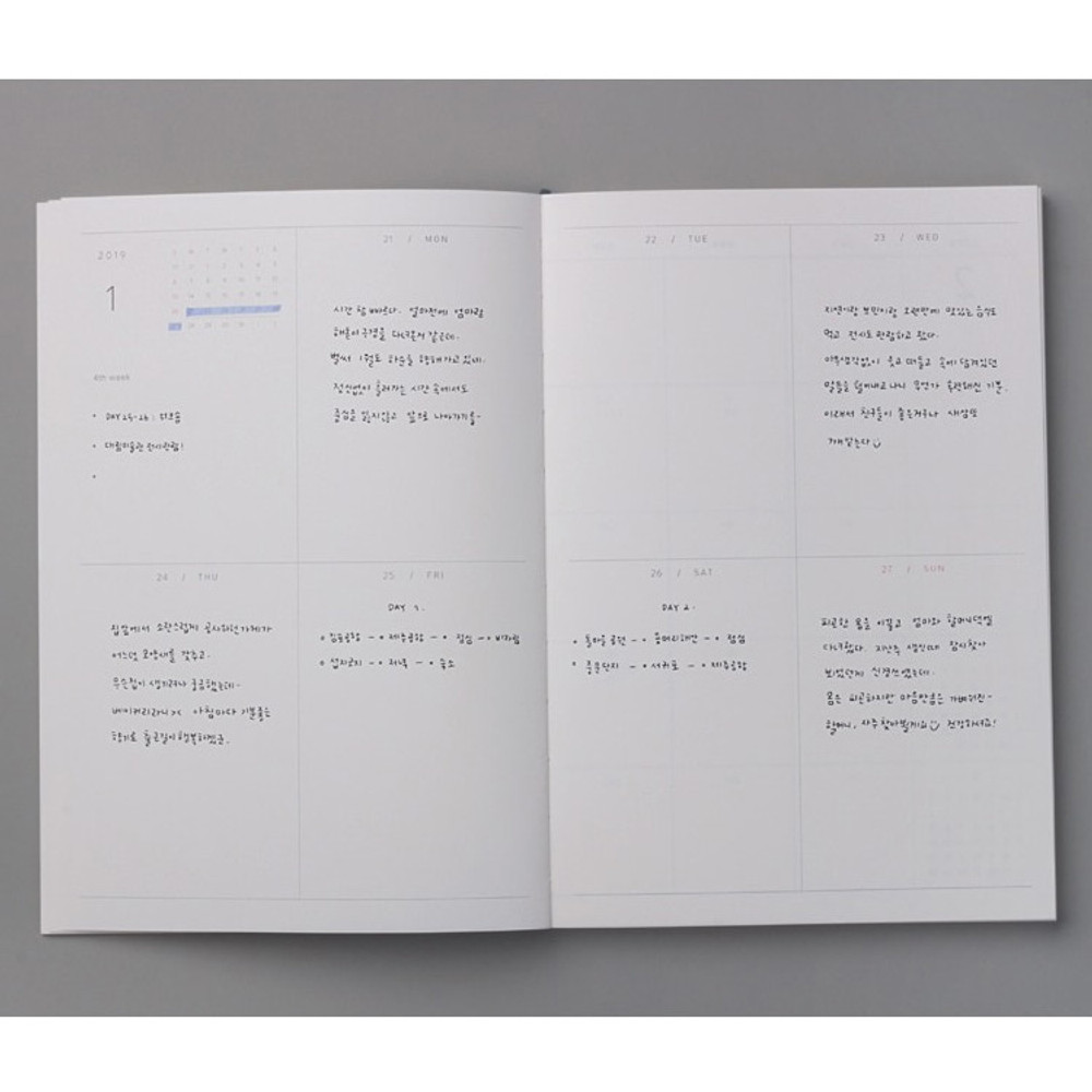 Weekly plan - 2019 Wish dated weekly diary planner