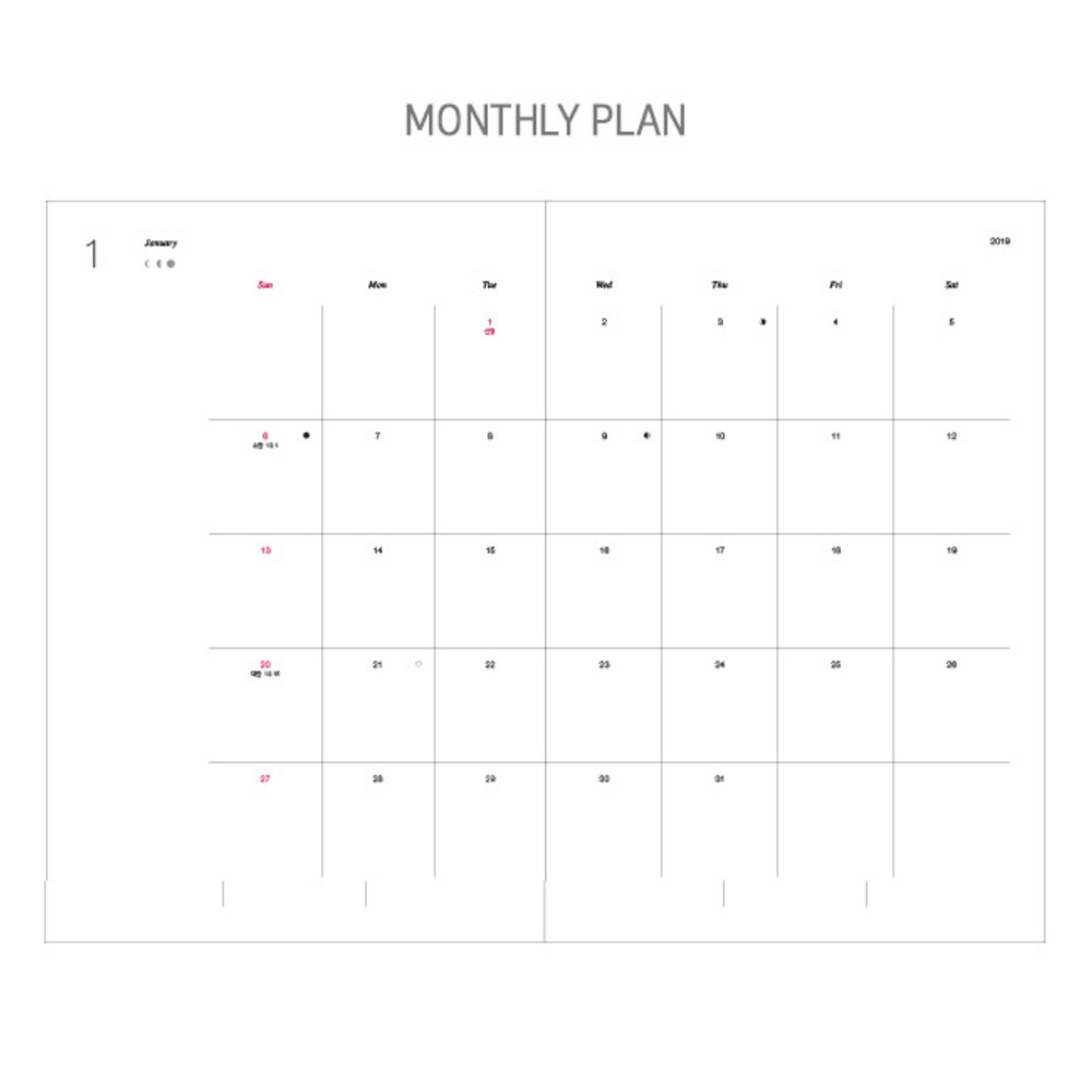 Monthly plan - 2019 Dear moon large dated weekly diary