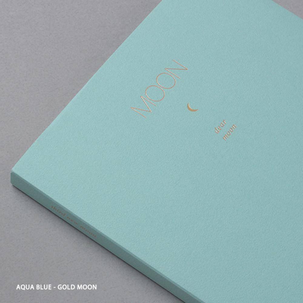 Aqua blue - 2019 Dear moon large dated weekly diary