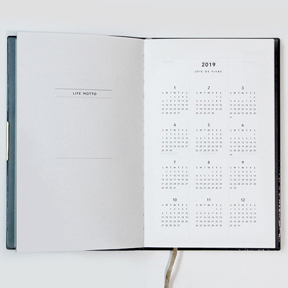 Calendar - 2019 Monologue medium dated weekly diary