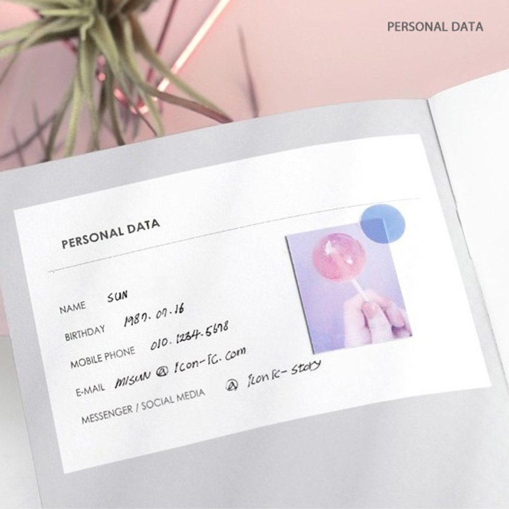 Personal data - 27 Weeks A6 size undated weekly planner