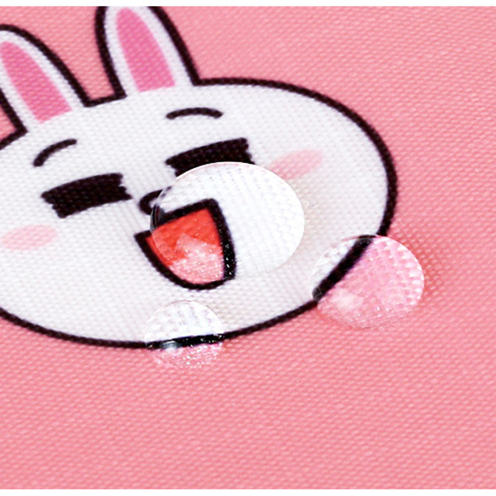 Water resistant - Line friends travel mesh large pocket pouch