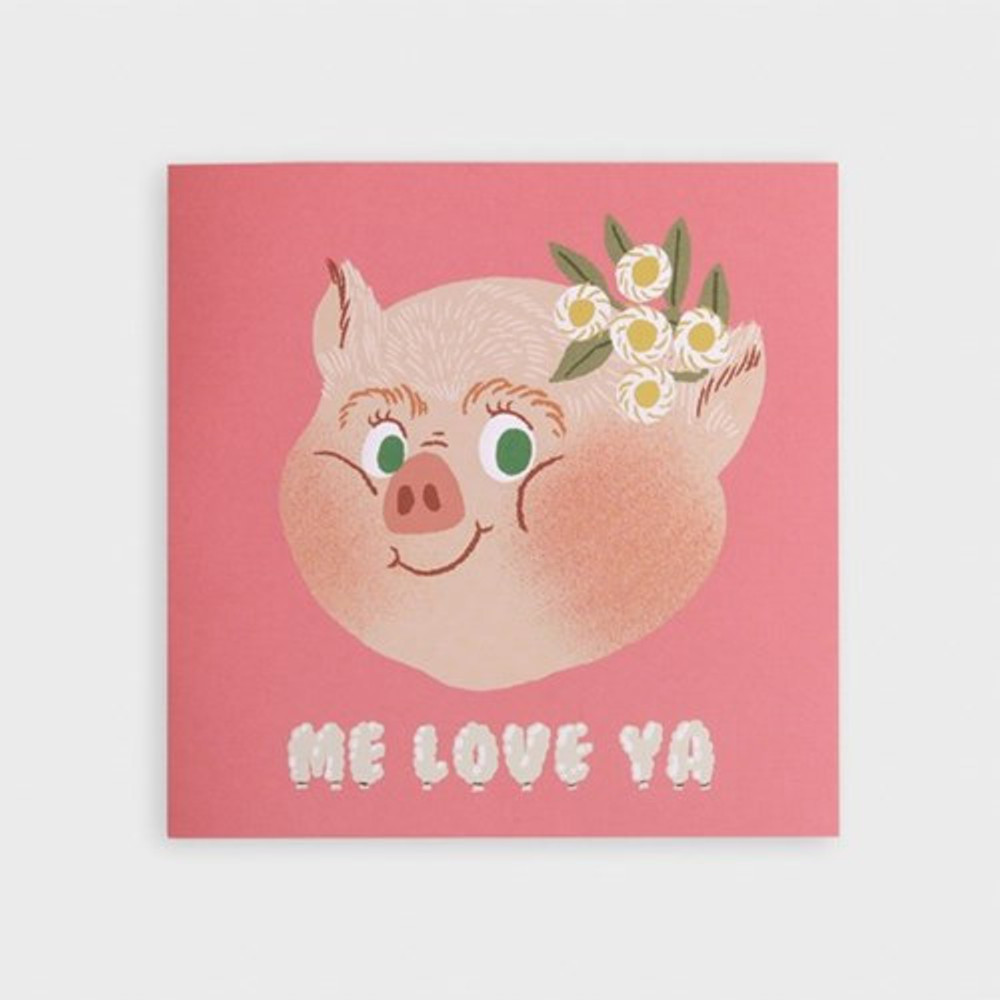 SOSOMOONGOO Piggy smile folding card and envelope set