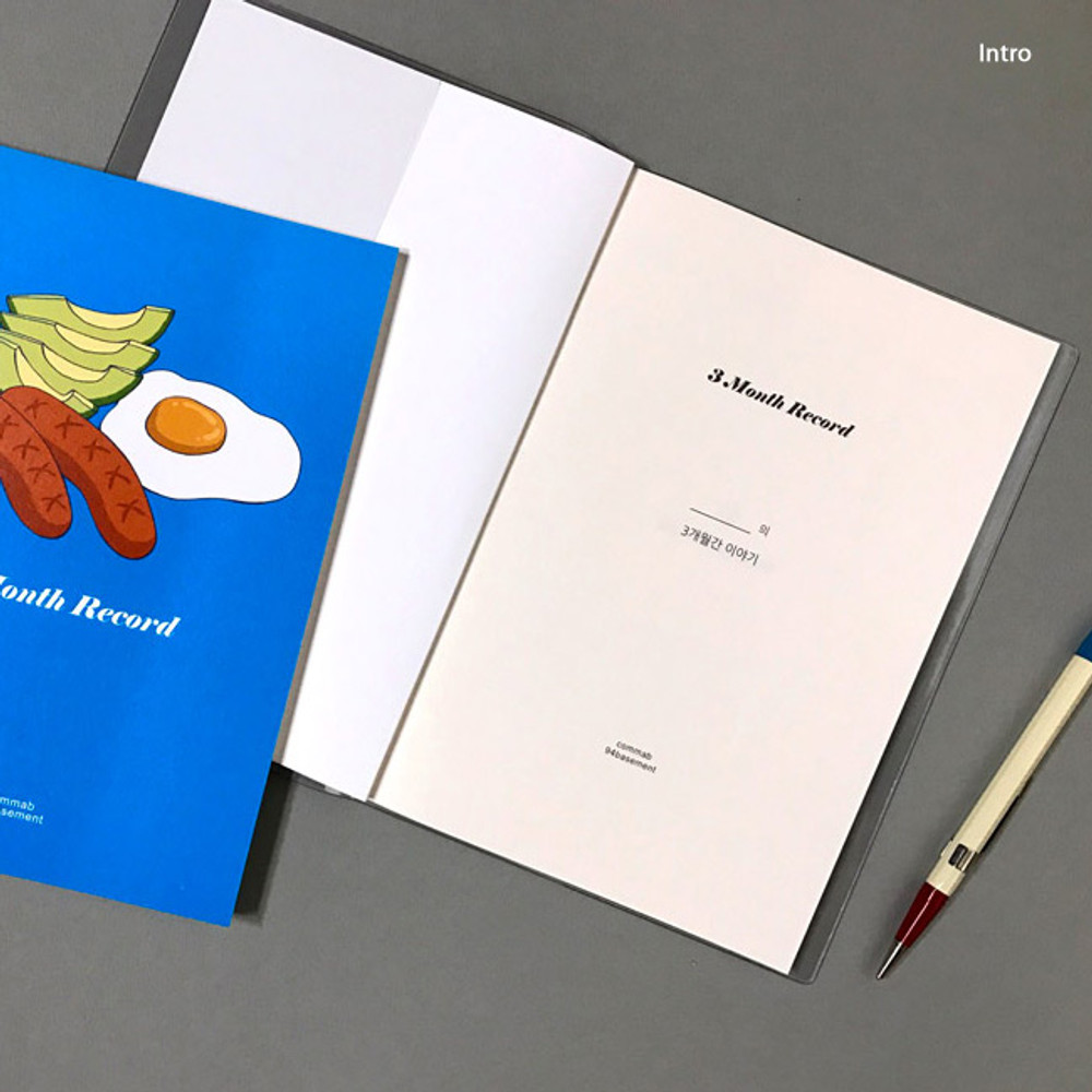 Intro - Record 3 months dateless weekly diary