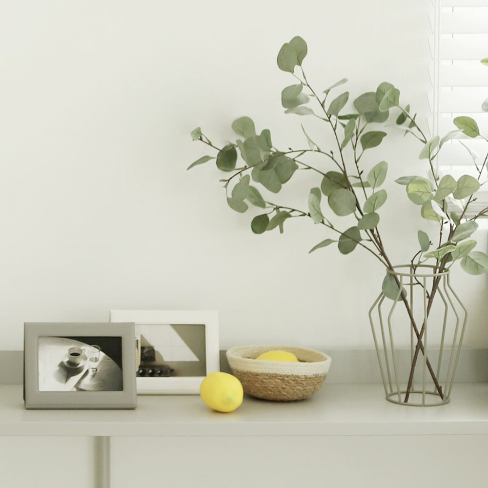 Example of use - Fenice Premium PU leather two ways magnetic picture frame
