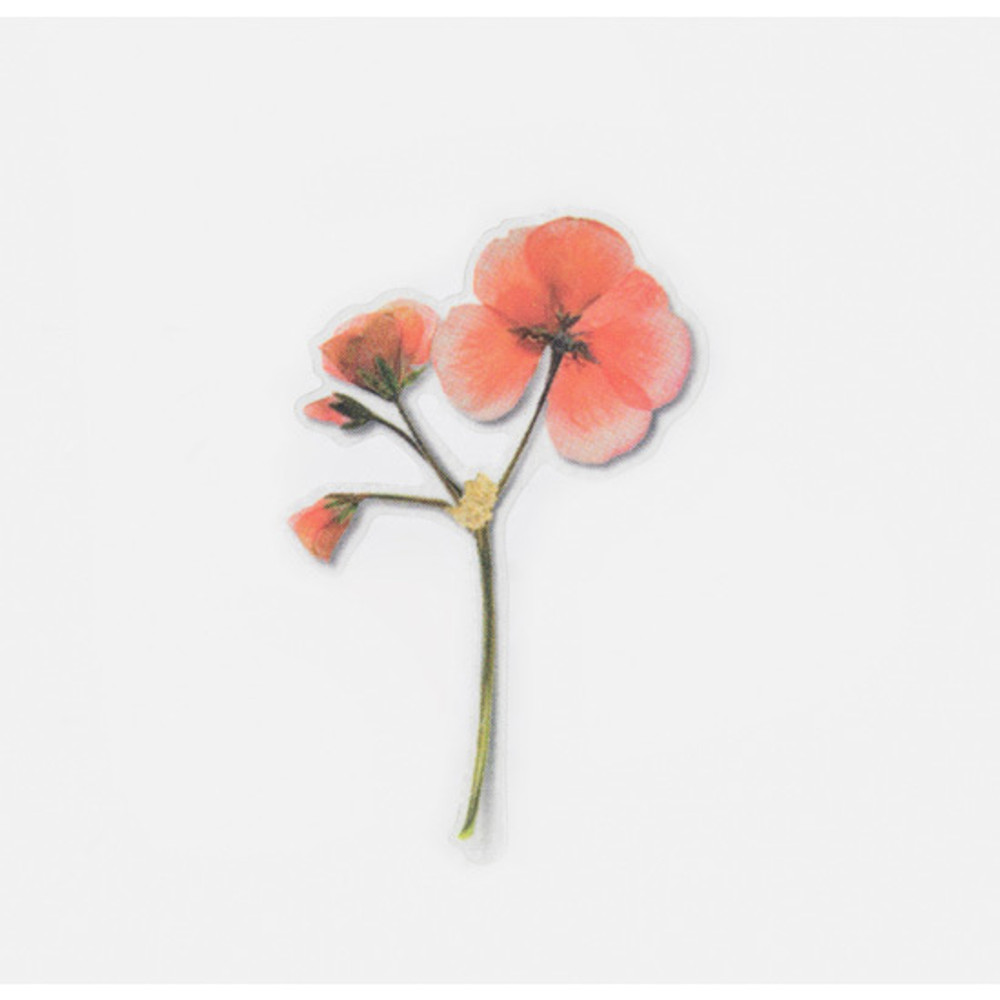 Appree Geranium Pressed Flower Sticker