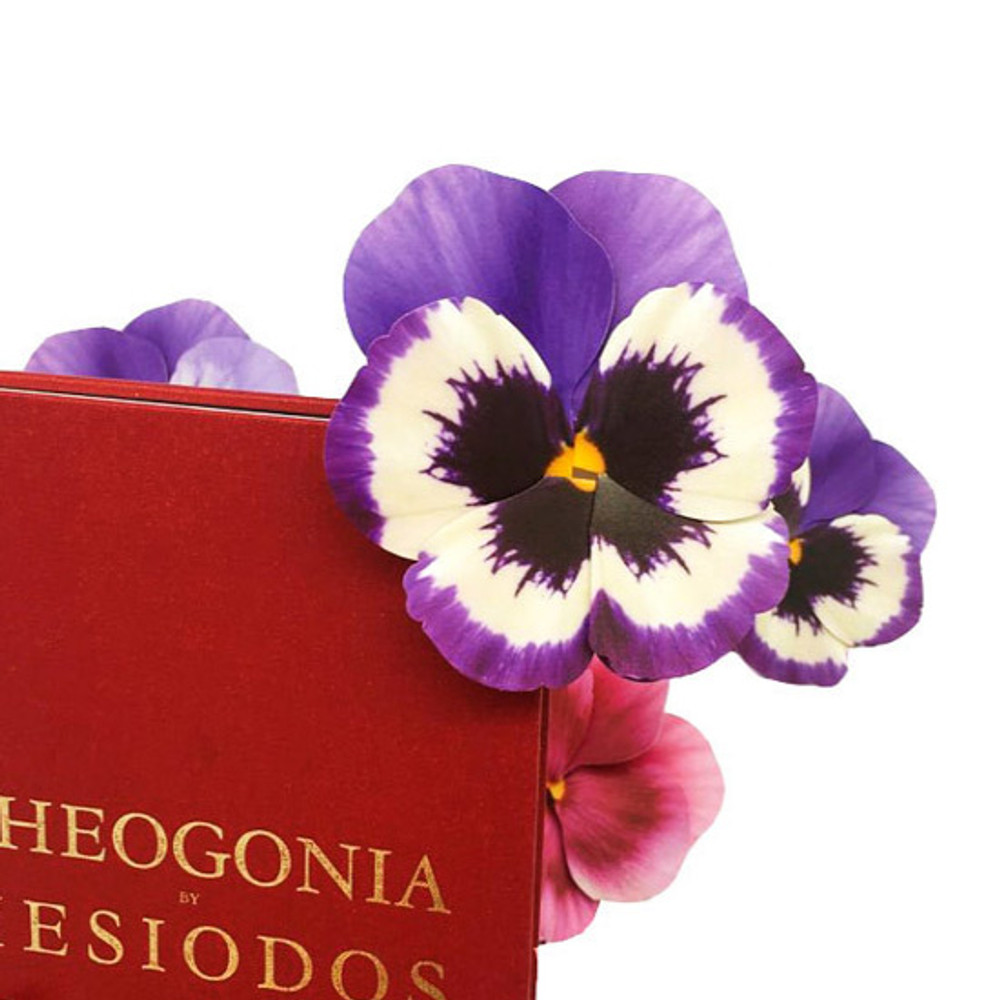 Example of use - ABJECTION Pansy flower card and envelope set