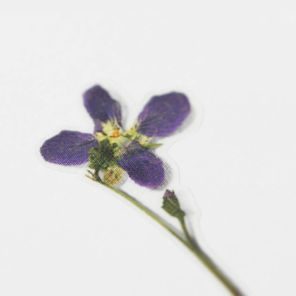 Pressed Flower Transparent Sticker - Larkspur