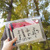 ICIEL Memory romance clear PVC diary planner pouch
